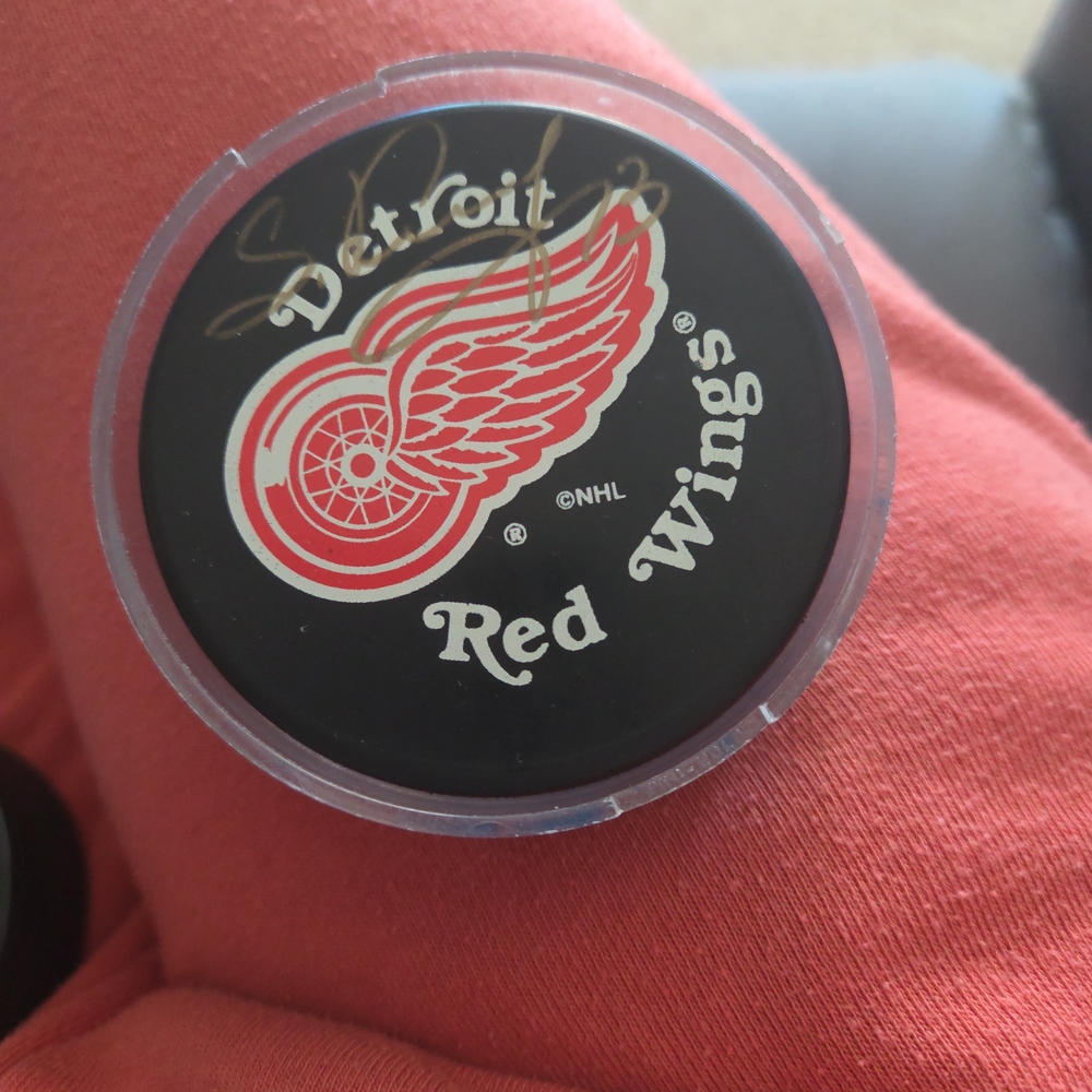 NHL Detroit Red Wings Black and Gold Puck